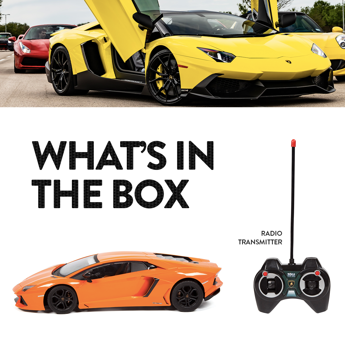 Coches teledirigidos Bugatti Chiron y Lamborghini Aventador 